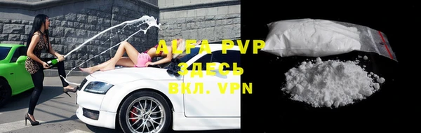 твердый Аркадак