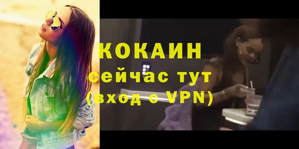 твердый Аркадак
