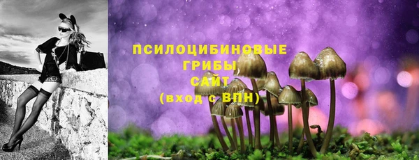 PSILOCYBIN Семикаракорск