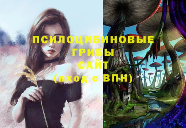 твердый Аркадак