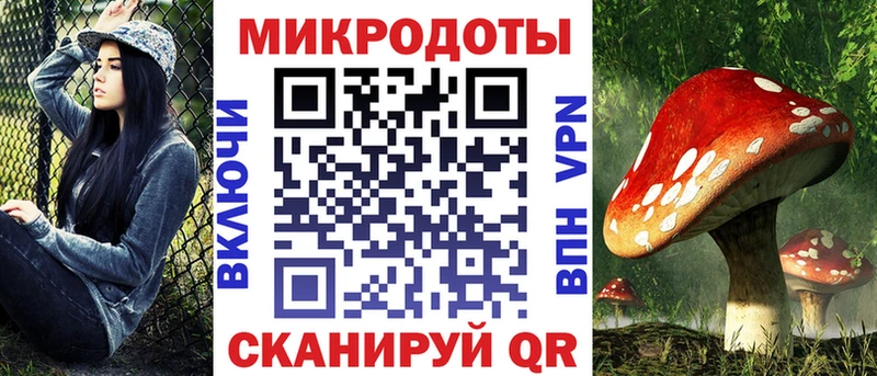 где купить наркоту  площадка какой сайт  Галлюциногенные грибы прущие грибы  Багратионовск 